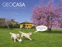 geocasabiella